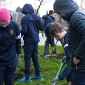 Eco Committee's Pollinators' Garden takes shape Eco Committee's Pollinators' Garden takes shape