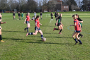 Annual Seven-a-Side Girls' Football Festival returns to Shrewsbury