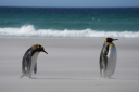 Winners of this year's Biology Photo Competition announced Winners of this year's Biology Photo Competition announced