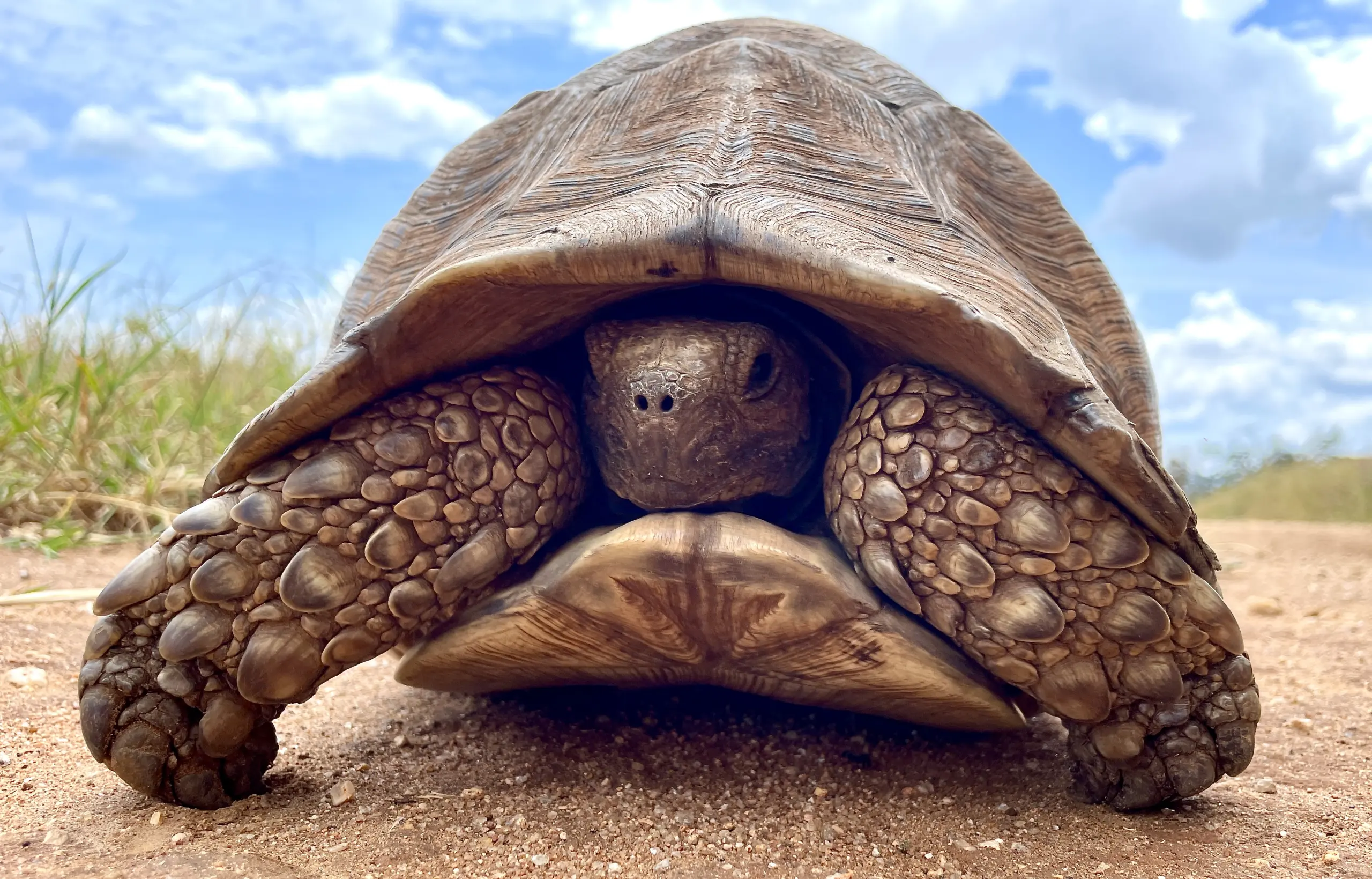 Winners of the annual Biology Photo Competition announced