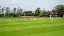 'Impressive' start to cricket season for girls and boys' teams