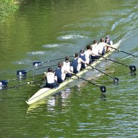 Shrewsbury Regatta