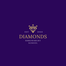 Shrewsbury Diamonds U18 Netball Squad to compete in Summer League Shrewsbury Diamonds U18 Netball Squad to compete in Summer League