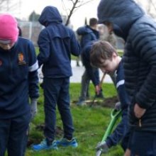 Eco Committee's Pollinators' Garden takes shape