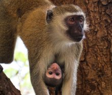 Winners of the 2023 Biology Photo Competition announced Winners of the 2023 Biology Photo Competition announced