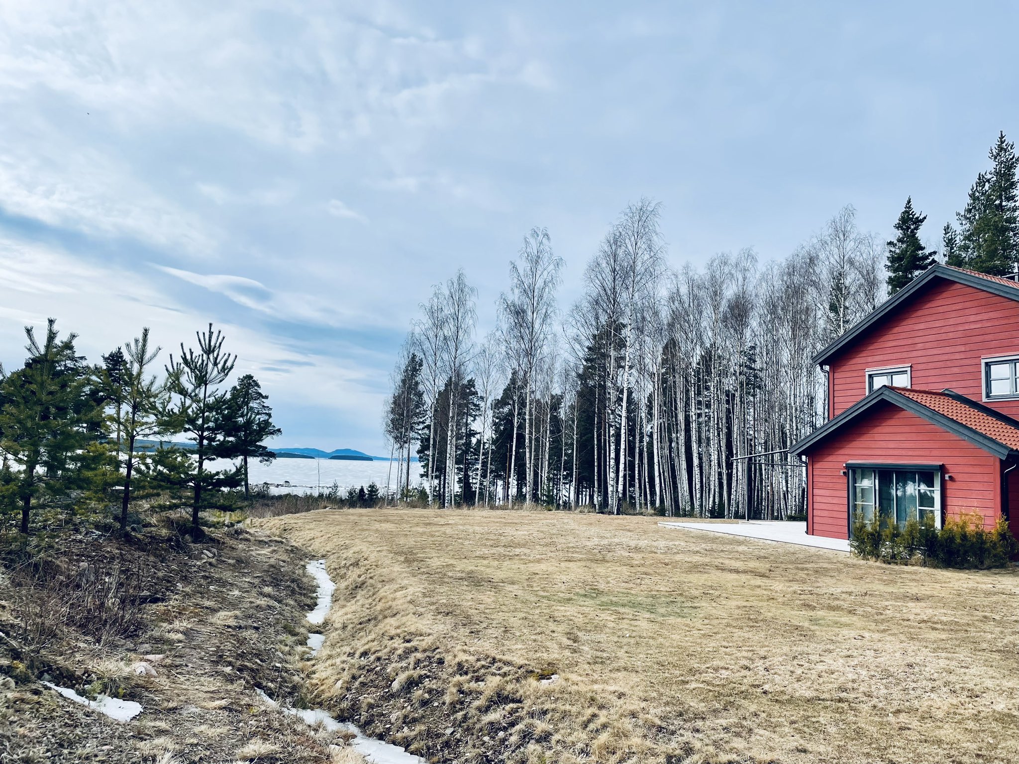 Letters from Shrewsbury No. 36: Dear Sweden - on AI, Lagom and Fika 