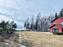 Letters from Shrewsbury No. 36: Dear Sweden - on AI, Lagom and Fika 