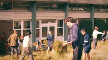 Eco Committee start work on scything wildflower meadow 