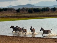 Winners of the annual Biology Photo Competition announced Winners of the annual Biology Photo Competition announced